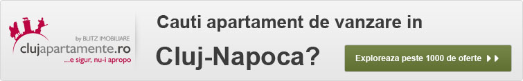 http://www.clujapartamente.ro/