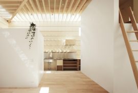 Casa "luminata"- un amestec de stiinta si imaginatie