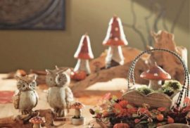 Bucura-te de culorile toamnei chiar la tine in casa!