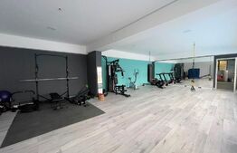 Apartament de 2 camere, 70 mp, terasa 60 mp, parcare, American Village 