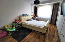 Apartament 3 camere, 60 mp, etaj intermediar, cu parcare, zona Teilor