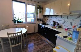 Apartament 3 camere, 60 mp, etaj intermediar, cu parcare, zona Teilor