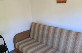 Garsonieră 11 mp, etaj intermediar, zona Bucium, Mănăștur