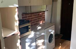 Garsonieră 11 mp, etaj intermediar, zona Bucium, Mănăștur