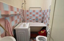 Apartament cu Gradina , 74 mp, tavan înalt, zona Urania Central 
