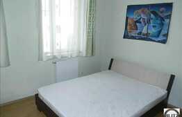 1 camera in imobil tip vila, in zona strazii Traian