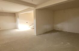 Comision 0%! Apartament pe 3 niveluri, 168 mp, gradina, boxa, zona Avram Iancu