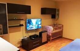 Garsoniera finisata si utilata modern, 32 mp, zona Expo Transilvania