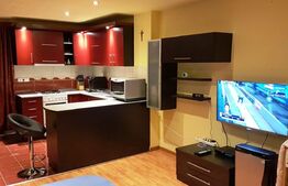 Garsoniera finisata si utilata modern, 32 mp, zona Expo Transilvania