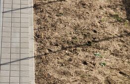 Comision 0%! Apartament 3 camere, 2 bai, gradina, boxa, zona Avram Iancu