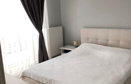 Apartament lux 2 camere, prima inchiriere, parcare, 65mp, terasa,  Calea Turzii