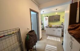 Apartament 2 camere, 46 mp, parcare cu gradina 113mp, zona Subcetate