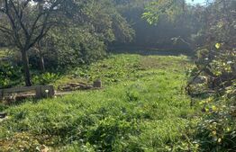 Casa saseasca 95mp utili, curte generoasa, 1325 mp teren, in Prejmer