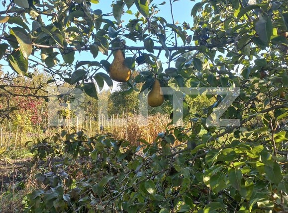 Casa de vânzare 4 camere Exterior Vest - 100248CV | BLITZ Brașov | Poza9