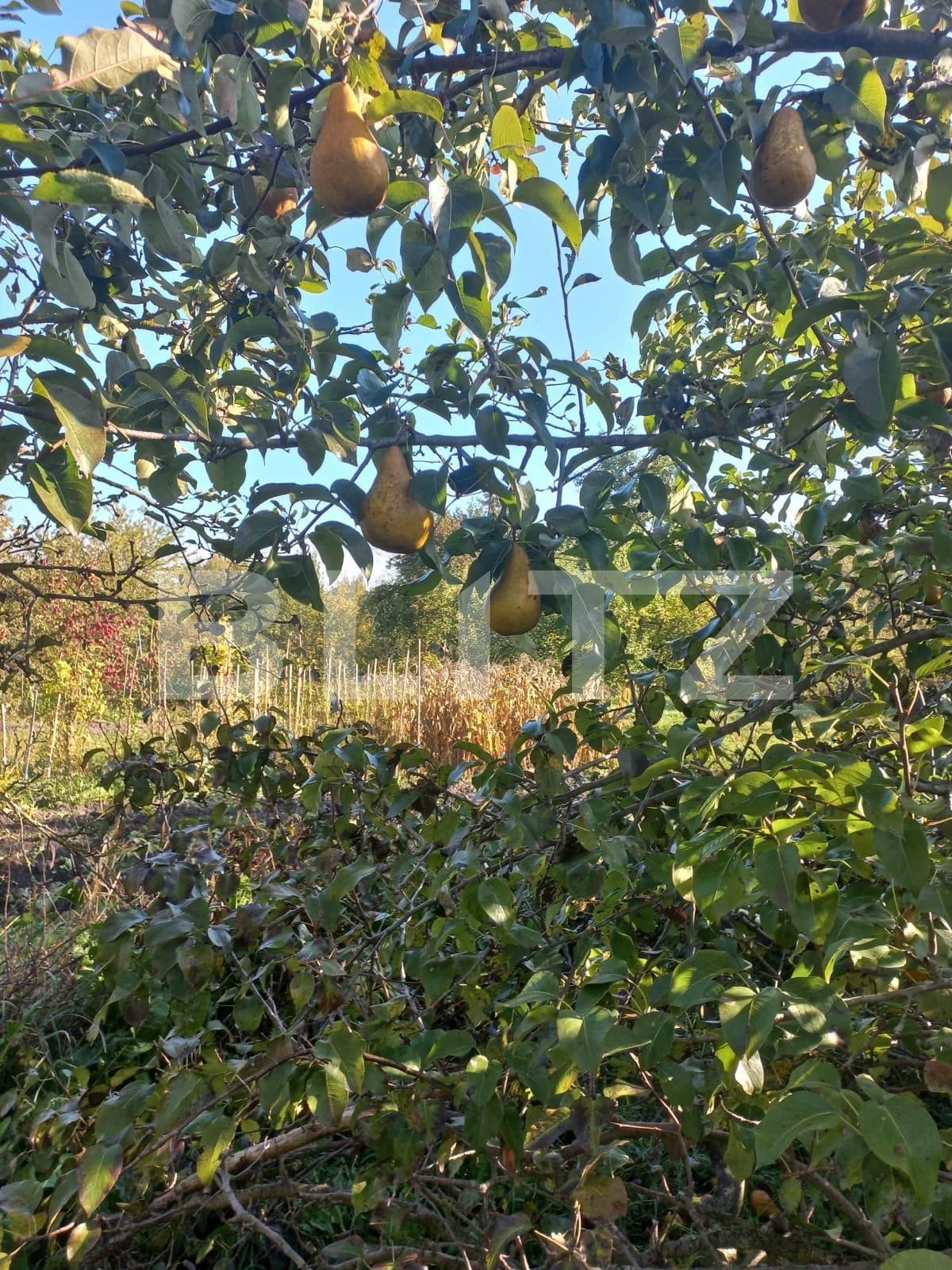 Casa de vânzare 4 camere Exterior Vest - 100248CV | BLITZ Brașov | Poza9