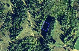 Teren potrivit pentru cabana, 1322 mp, Belis