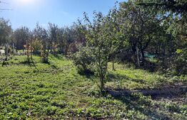 Casa individuala, 90 mp, 310 mp teren, Turda