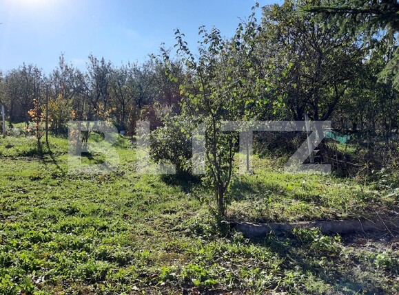 Casa de vânzare 3 camere Exterior Sud - 100277CV | BLITZ Cluj-Napoca | Poza12