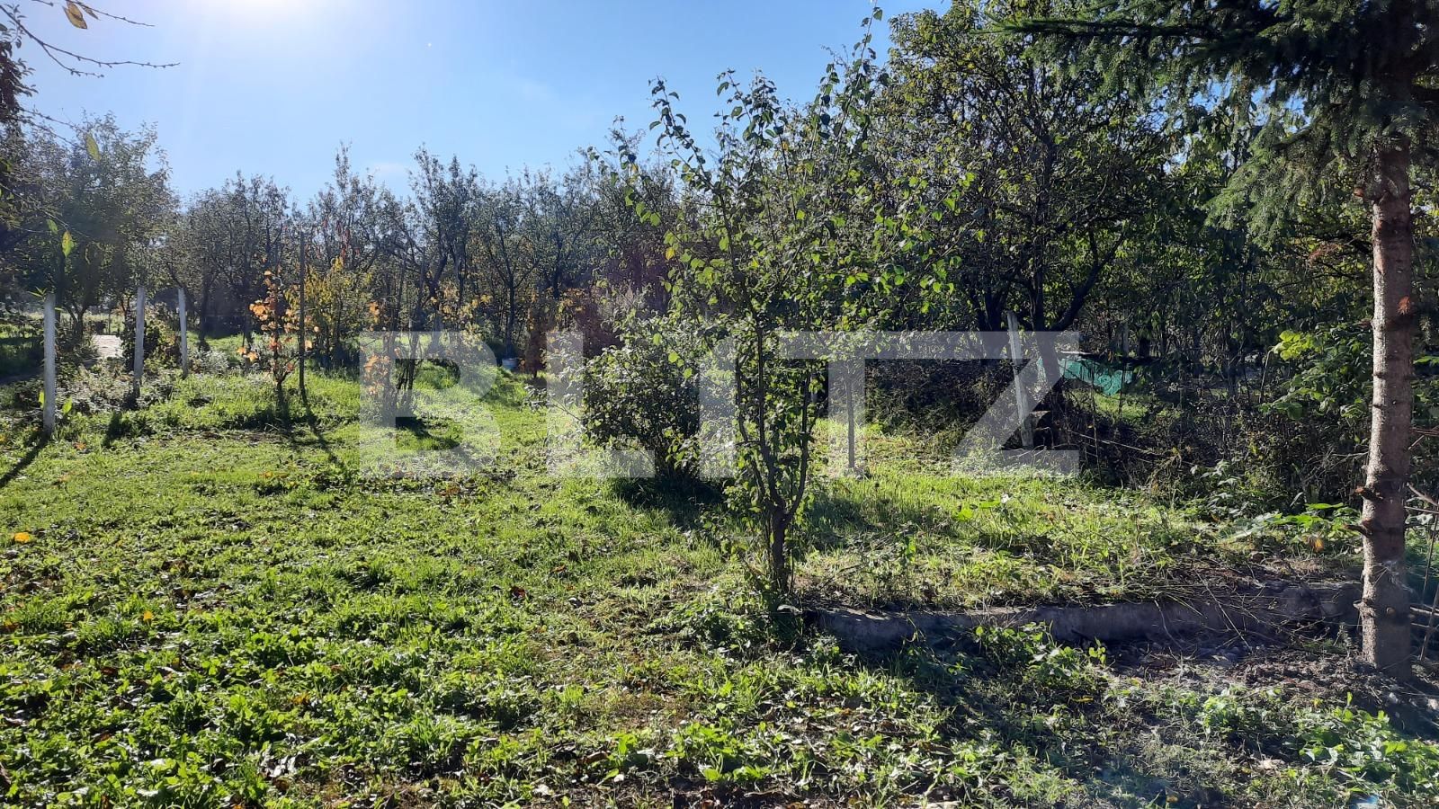 Casa de vânzare 3 camere Exterior Sud - 100277CV | BLITZ Cluj-Napoca | Poza12