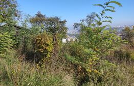 Teren 700 mp, zona Uliului, Grigorescu 