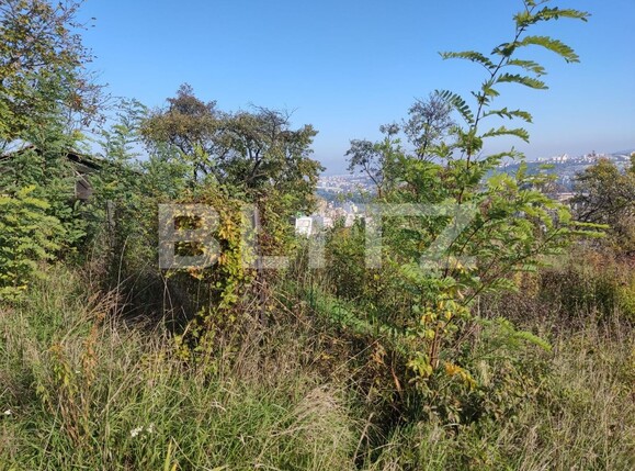 Teren de vânzare Grigorescu - 100284TV | BLITZ Cluj-Napoca | Poza2