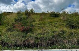 Teren intravilan 1142mp, situat in Chinteni,pentru constructia a 2 unitati locative