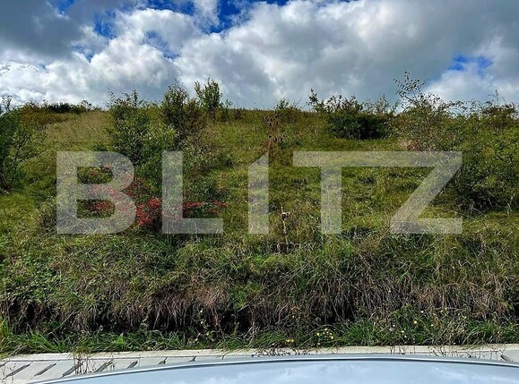 Teren de vânzare Chinteni - 100291TV | BLITZ Cluj-Napoca | Poza2