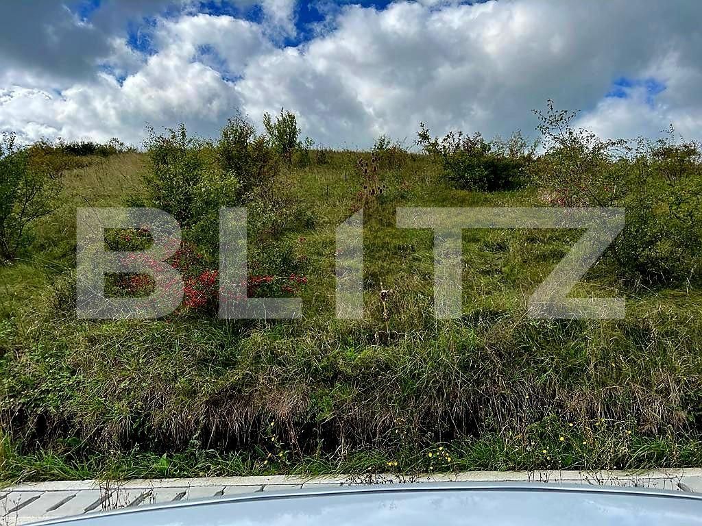 Teren de vânzare Chinteni - 100296TV | BLITZ Cluj-Napoca | Poza3