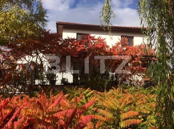 Casa de închiriat 11 camere Andrei Mureşanu - 100313CI | BLITZ Cluj-Napoca | Poza3