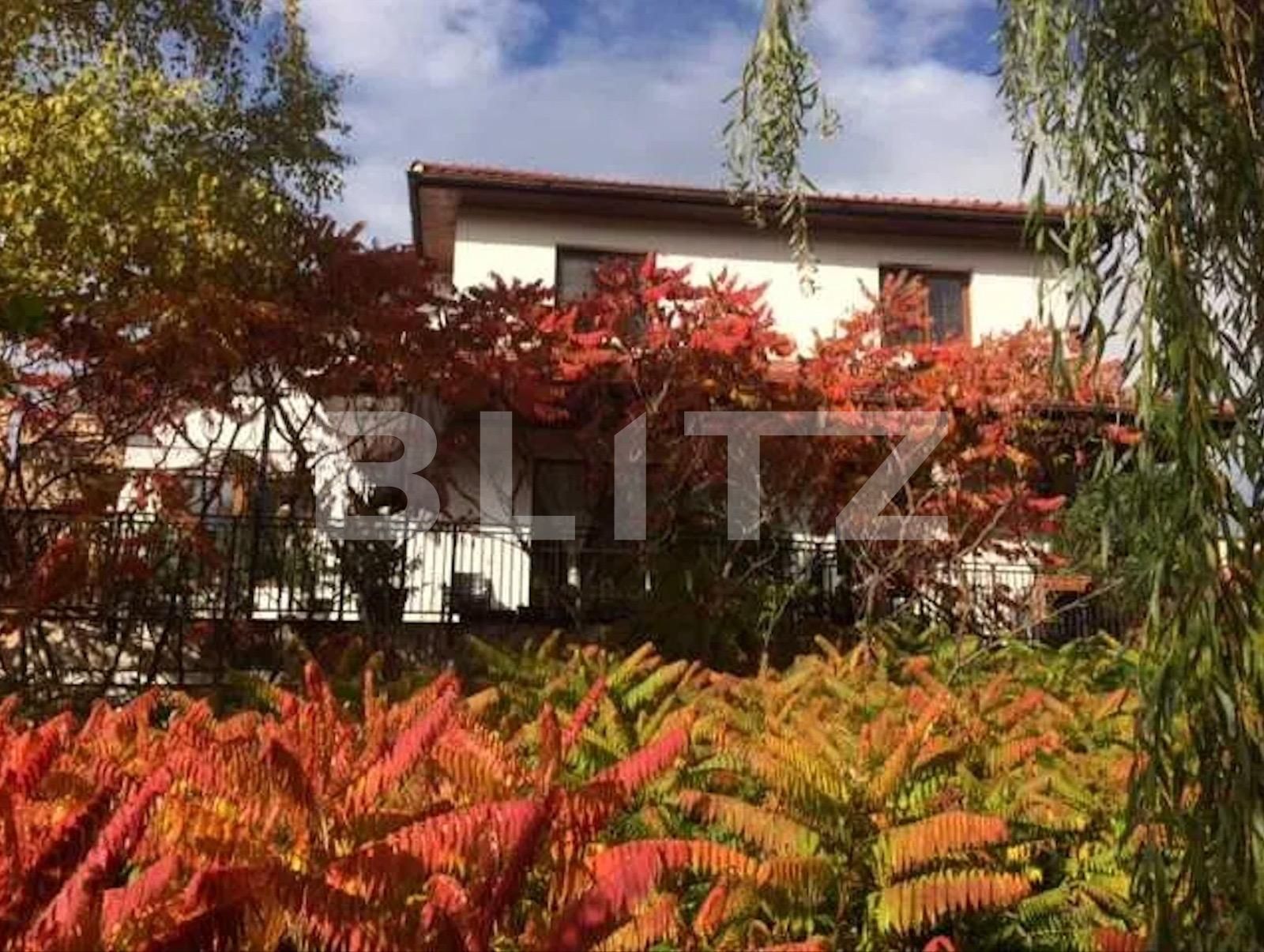 Casa de închiriat 11 camere Andrei Mureşanu - 100313CI | BLITZ Cluj-Napoca | Poza3