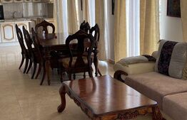 Apartament spatios de 3 camere, 260 mp, terasa, garaj, zona NTT Data