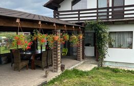 Casa de 120 mp, teren de 1500 mp, Salistea Noua