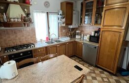 Casa de 120 mp, teren de 1500 mp, Salistea Noua