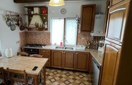 Casa de 120 mp, teren de 1500 mp, Salistea Noua