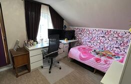 Casa de 120 mp, teren de 1500 mp, Salistea Noua