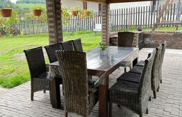 Casa de 120 mp, teren de 1500 mp, Salistea Noua