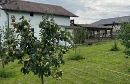 Casa de 120 mp, teren de 1500 mp, Salistea Noua