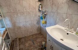 Casa de 120 mp, teren de 1500 mp, Salistea Noua