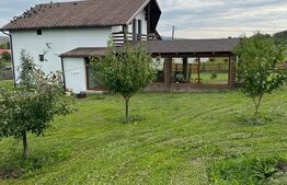 Casa de 120 mp, teren de 1500 mp, Salistea Noua