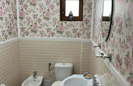 Casa de 120 mp, teren de 1500 mp, Salistea Noua