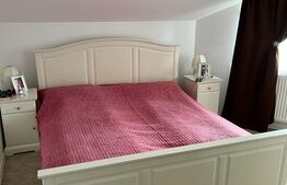 Casa de 120 mp, teren de 1500 mp, Salistea Noua