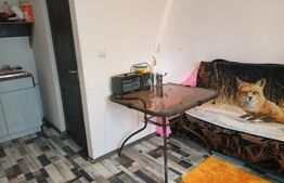 Casa individuala 150 mp, localitatea Rucar Arges