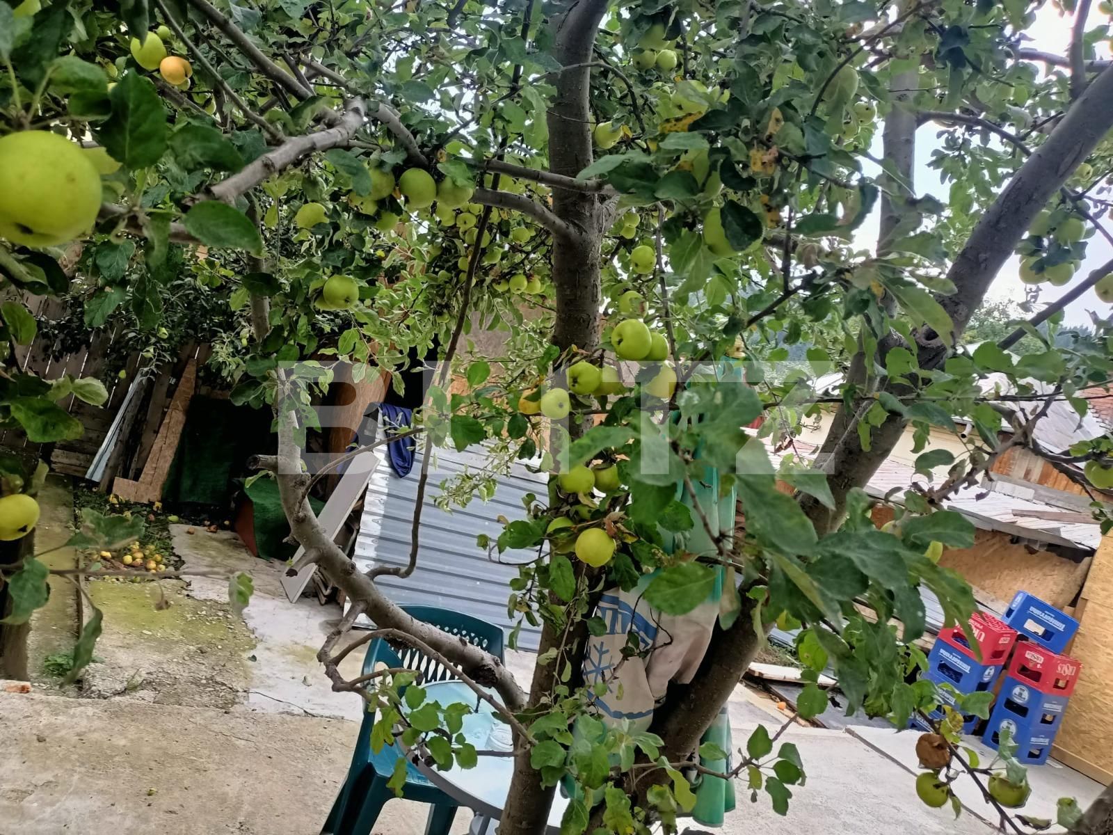 Casa de vânzare 5 camere Exterior Nord - 100415CV | BLITZ Brașov | Poza5