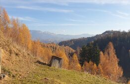 Oportunitate! Casa de 212 mp, D+P+M, 2.400 mp teren intravilan, Magura