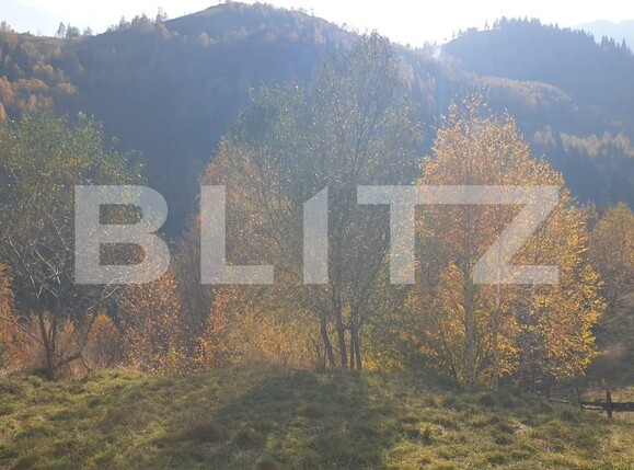 Casa de vânzare 7 camere Moieciu - 100431CV | BLITZ Brașov | Poza18