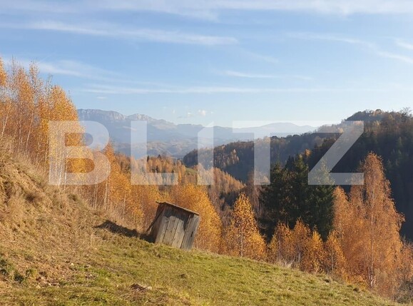 Casa de vânzare 7 camere Moieciu - 100431CV | BLITZ Brașov | Poza17