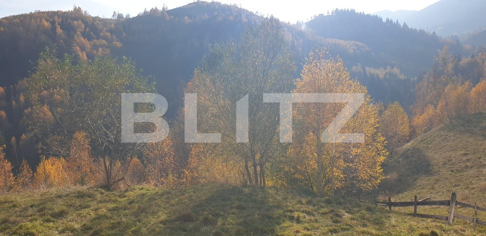 Casa de vânzare 7 camere Moieciu - 100431CV | BLITZ Brașov | Poza18