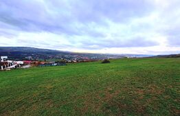 Oportunitate! teren intravilan de 10000mp, zona Hub Educational din Borhanci