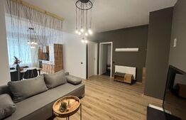 Apartament 2 camere, modern/lux, 50 mp, zona Teilor