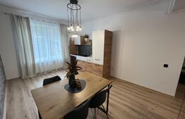 Apartament 2 camere, modern/lux, 50 mp, zona Teilor